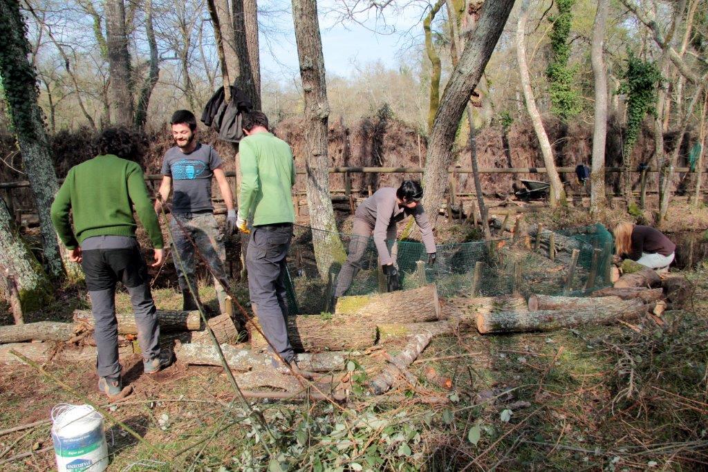 VOLONTANFIBI 2014: Parco Regionale MSRM